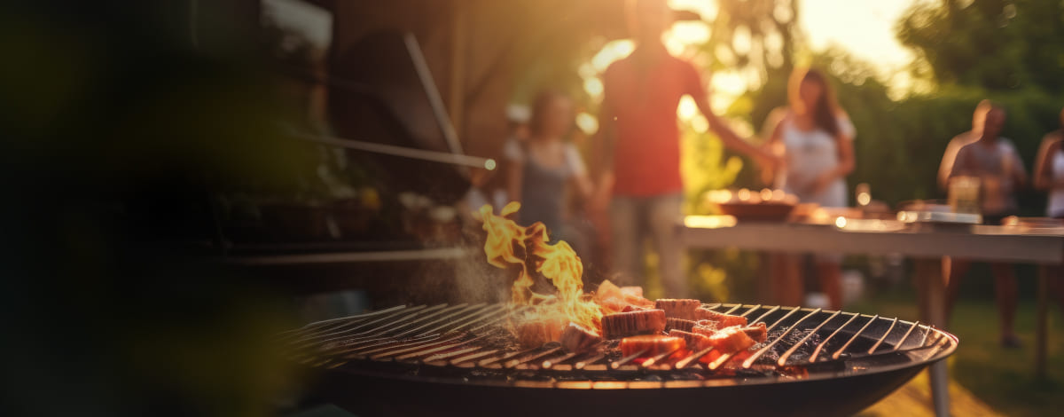 Деревне вугілля Biogrill